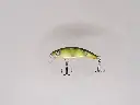 STINKY 56s_ ROYAL PERCH - mattia carchen.webp