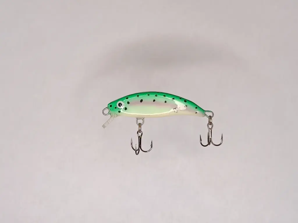 STINKY 56s_ TROUT - mattia carchen.webp