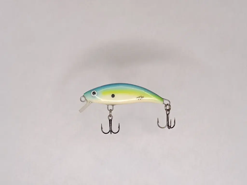 STINKY 56s_ BLUE FISH - mattia carchen.webp