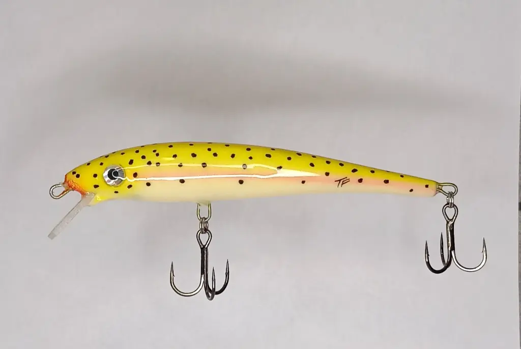 BILKO 121s _ YELLOW TROUT - mattia carchen.webp