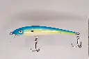 BILKO 121s_BLUE FISH - mattia carchen.webp