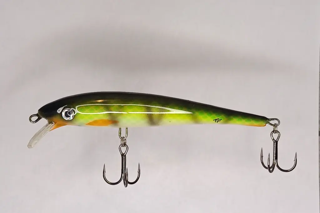 BILKO 121s_ ROYAL PERCH - mattia carchen.webp