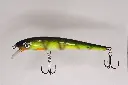 BILKO 121s_ ROYAL PERCH - mattia carchen.webp