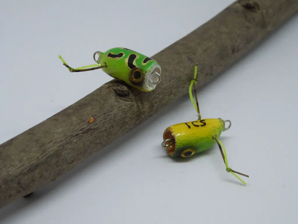 nanopopper_rana - Riccardo Bresolin.webp