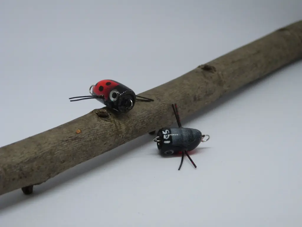 nanopopper_coccinella - Riccardo Bresolin.webp