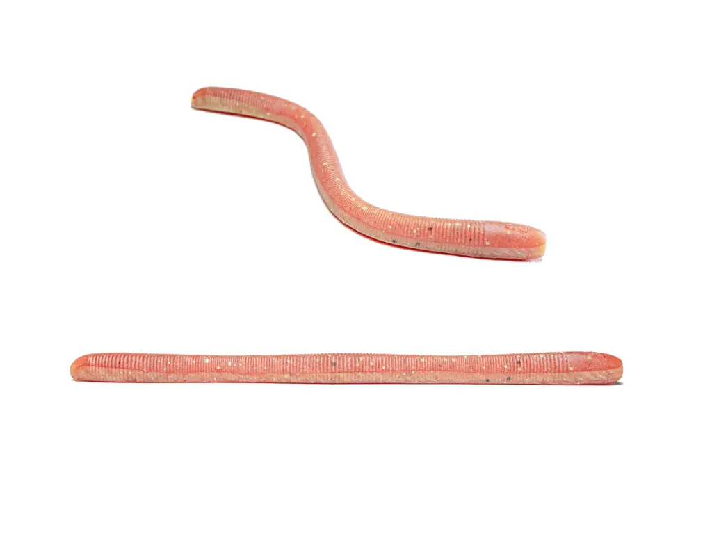 SW04 - CycleBaits.webp