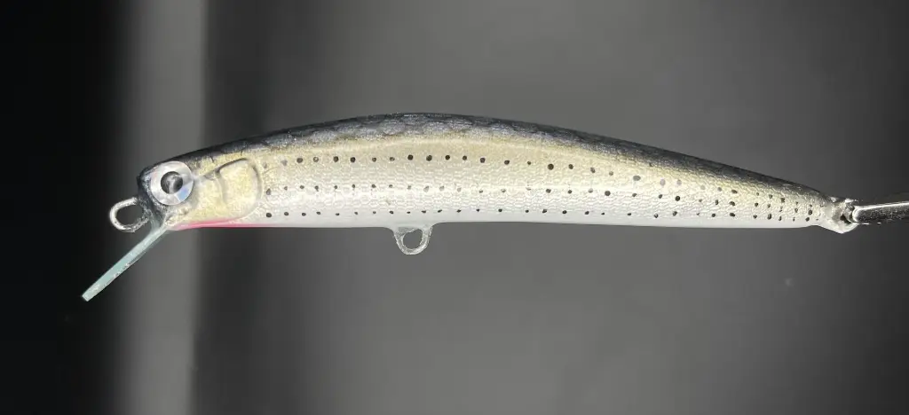 IMG_7446 - Luca Tripalo.webp