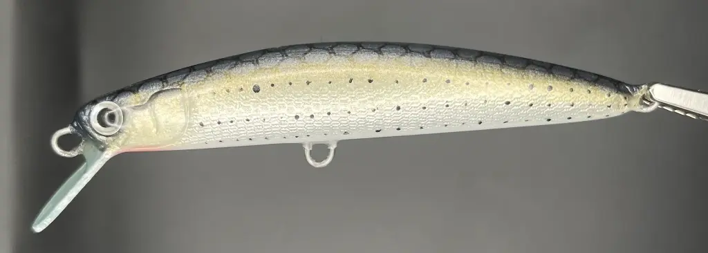 IMG_7412 - Luca Tripalo.webp