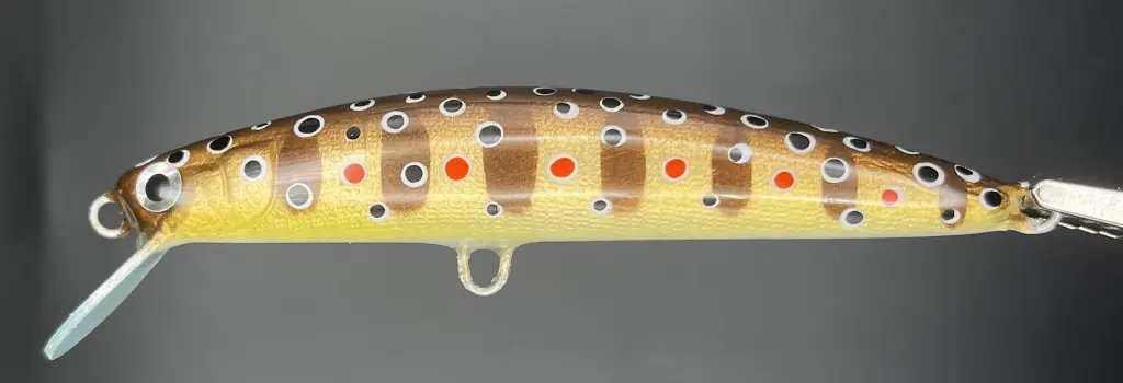 IMG_7415 - Luca Tripalo.webp