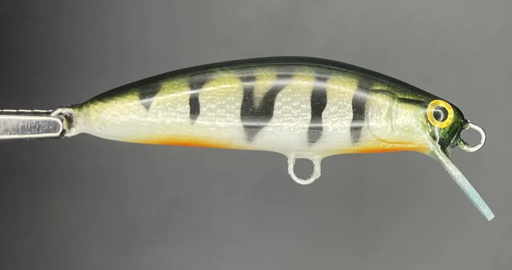 IMG_7377 - Luca Tripalo.webp