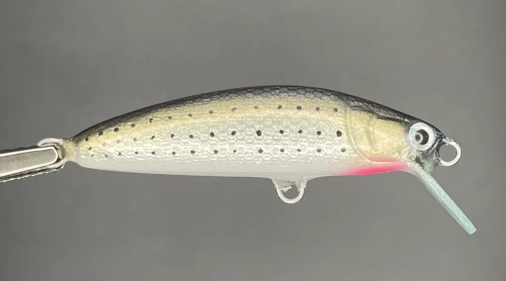 IMG_7402 - Luca Tripalo.webp