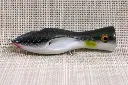 centauro120_natural2-high.webp