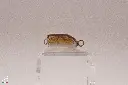 nanopopper-2.webp
