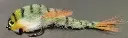 changer-_perch-jpg-fabrizio-mapelli-high.webp