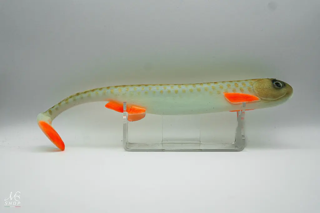 Dicky Pike.webp