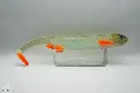 Dicky Pike.webp