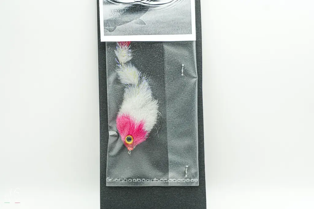 the changer spin.webp