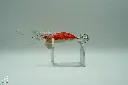 Crazysquid 7'0-3.webp
