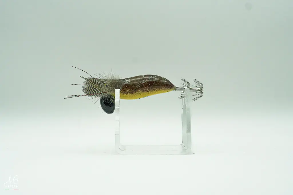 Crazysquid 7'0.webp