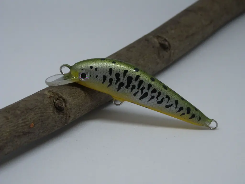 Crazyjerk65_lacustre - Riccardo Bresolin.webp