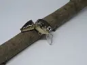 crazybufo_naturale-riccardo-bresolin-high-dkwvyi.webp