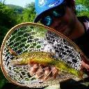 Immagine WhatsApp 2025-10-10 ore 09.06.26_d2b610e8.webp