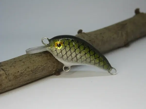 crazycrank45_baitfish-riccardo-bresolin-standard-2.webp