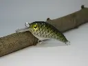 crazycrank45_baitfish-riccardo-bresolin-standard-2.webp