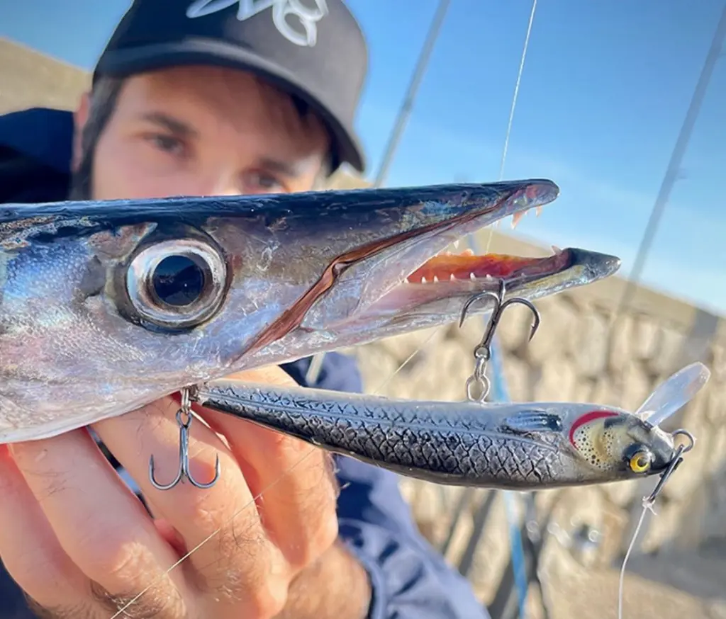 Immagine WhatsApp 2025-10-11 ore 11.48.28_7366fbde.webp