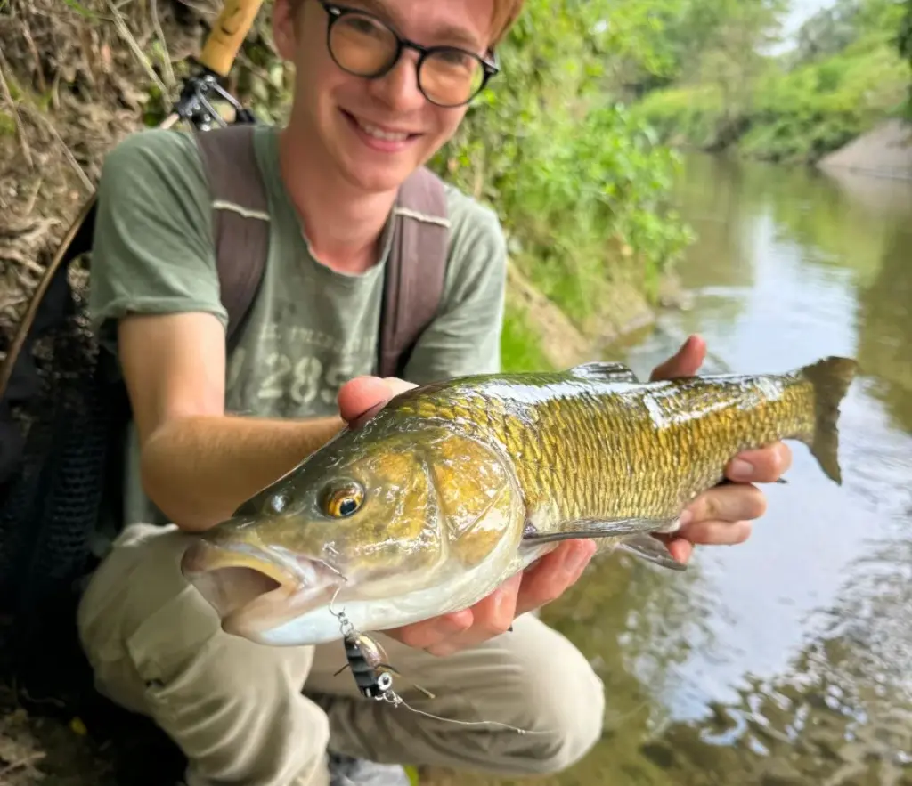 Immagine WhatsApp 2025-10-11 ore 11.48.27_7af22670.webp