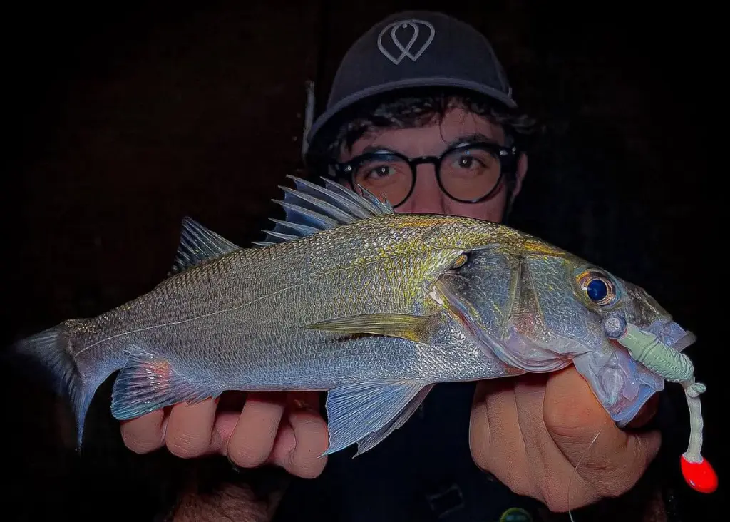 Immagine WhatsApp 2025-10-11 ore 11.48.26_76c739d5.webp