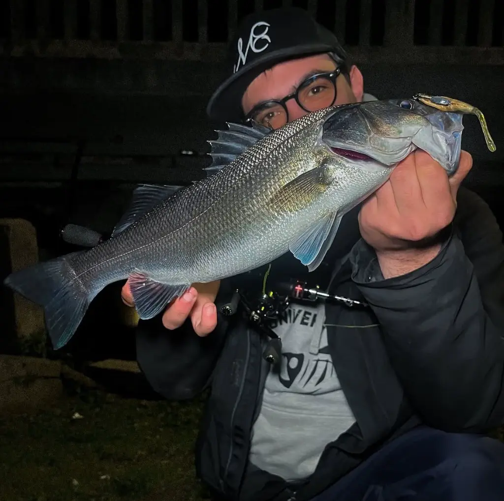 Immagine WhatsApp 2025-10-11 ore 11.48.25_d26e6dc5.webp