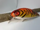 crazycrank90_tiger2-riccardo-bresolin-high.webp