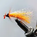 Attractor