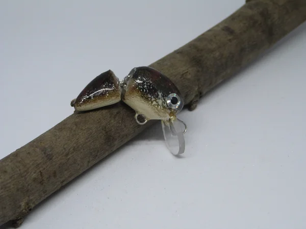 Crazy Bufo