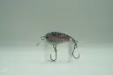 Crazycrank40f