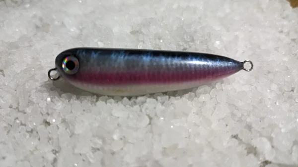 Hisui60 