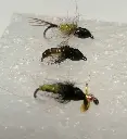 Nymph COMBO
