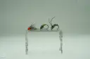 Nymph COMBO
