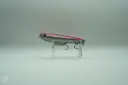 SPIGO 10
