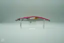 Feesh160 EVO