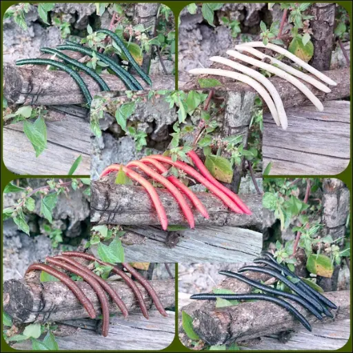 WACKY WORMS (confezione 10pz) 
