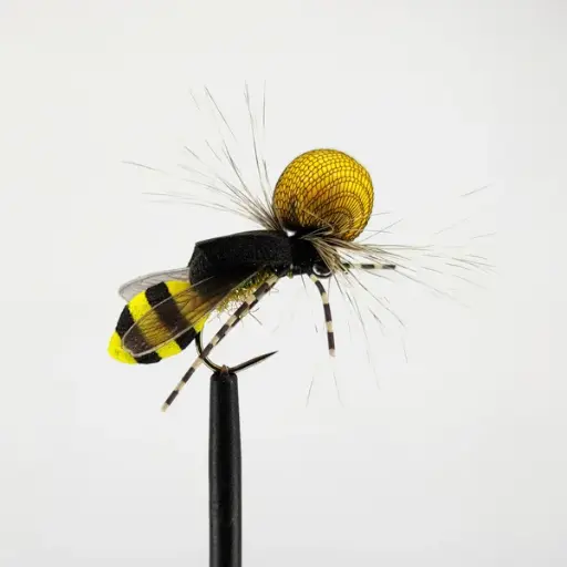 Hornet D.B.S.