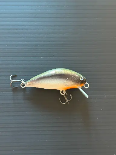 Chubber 45