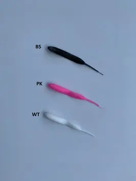 Flat Worm